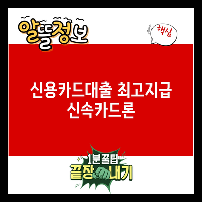 Read more about the article 신용카드대출 최고지급 신속카드론